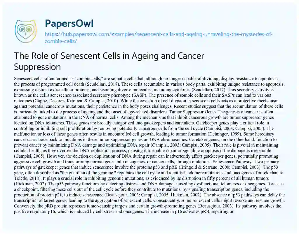 Essay on The Role of Senescent Cells in Ageing and Cancer Suppression