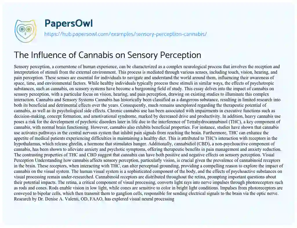 Essay on The Influence of Cannabis on Sensory Perception