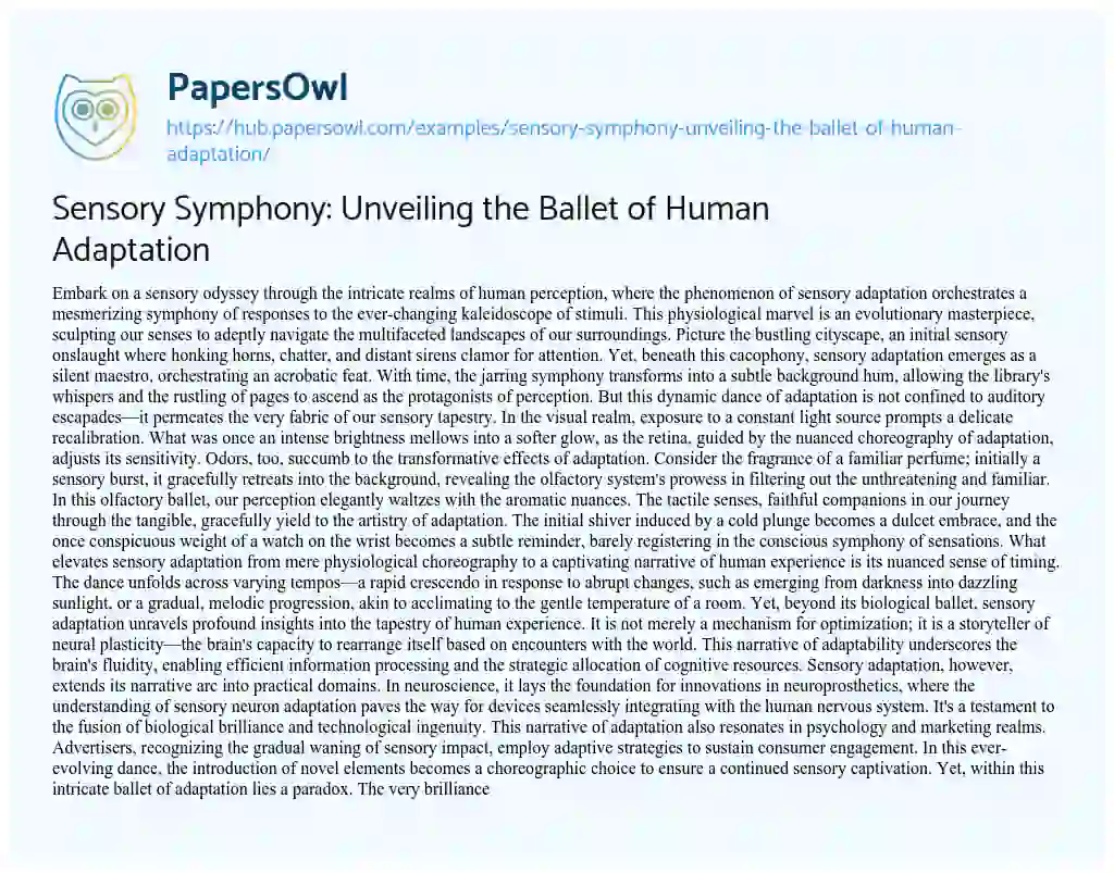 Essay on Sensory Symphony: Unveiling the Ballet of Human Adaptation