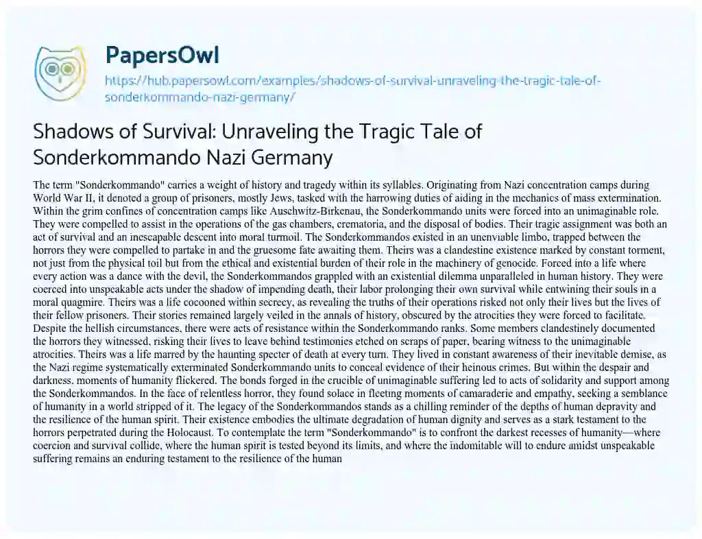 Essay on Shadows of Survival: Unraveling the Tragic Tale of Sonderkommando Nazi Germany