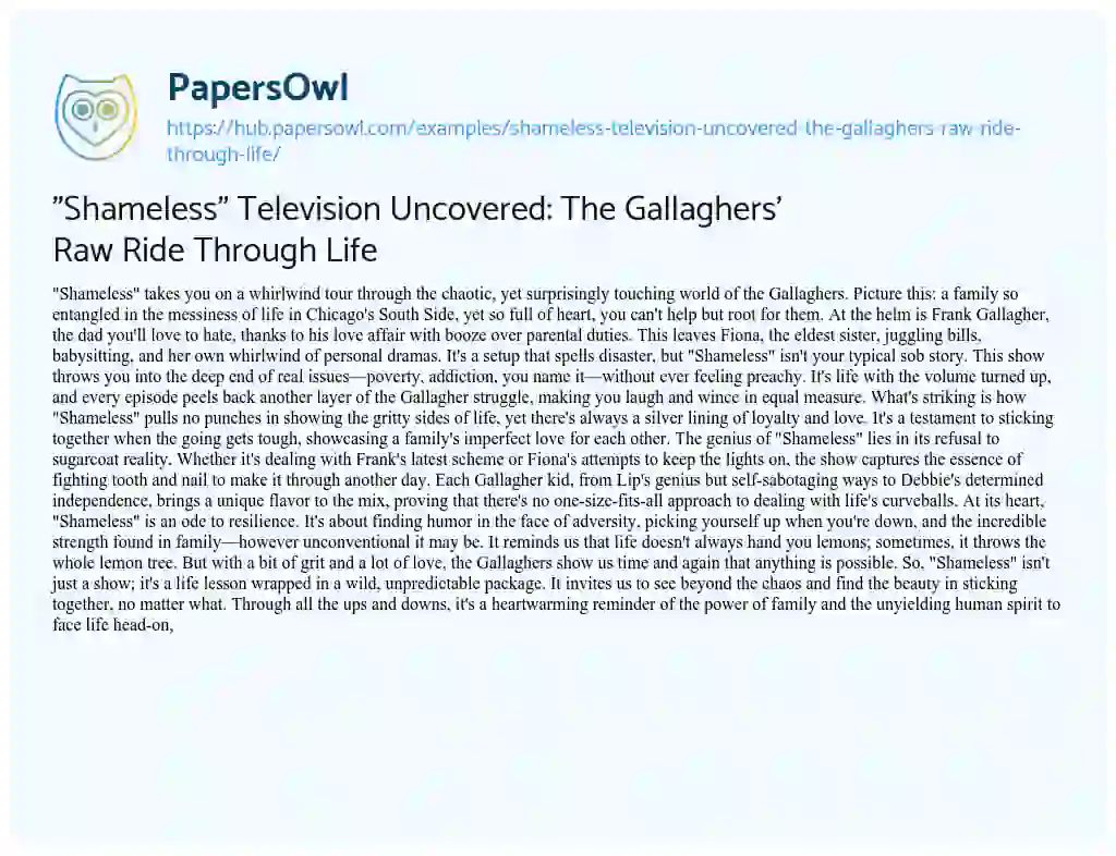 Essay on “Shameless” Television Uncovered: The Gallaghers’ Raw Ride Through Life