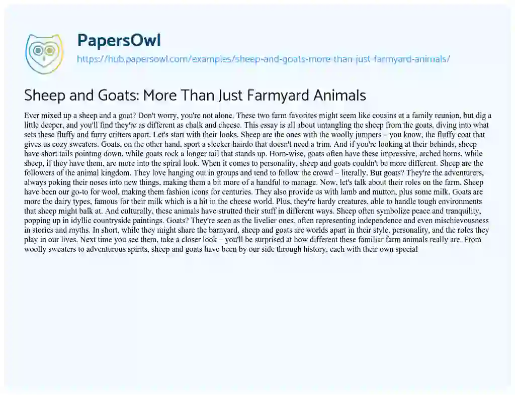 Essay on Sheep and Goats: More Than Just Farmyard Animals