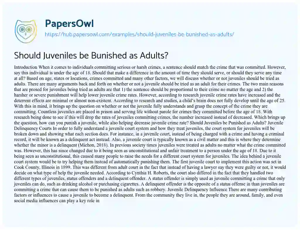 Essay on Should Juveniles be Bunished as Adults?