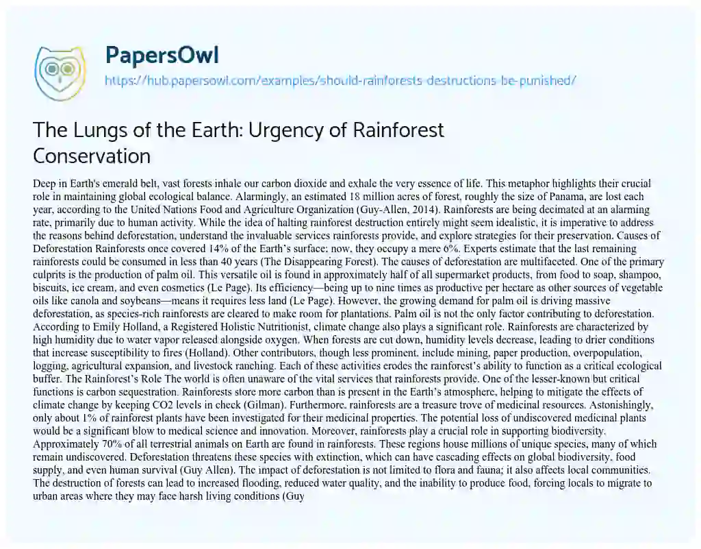 Essay on The Lungs of the Earth: Urgency of Rainforest Conservation