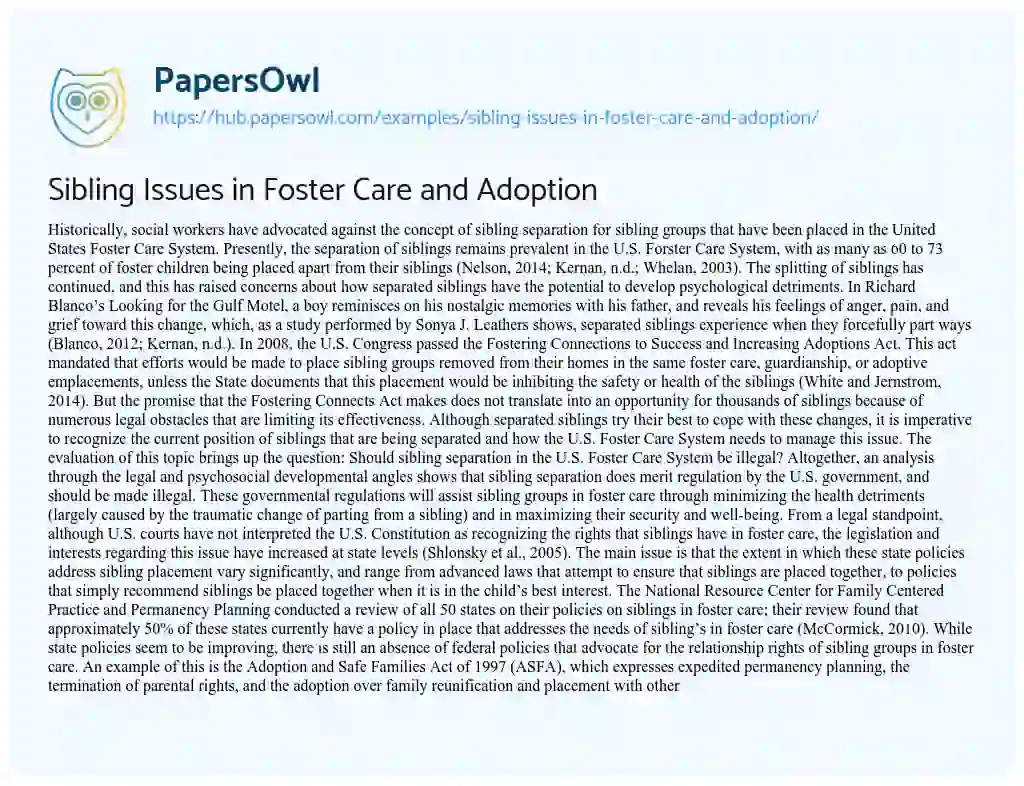 Essay on Sibling Issues in Foster Care and Adoption