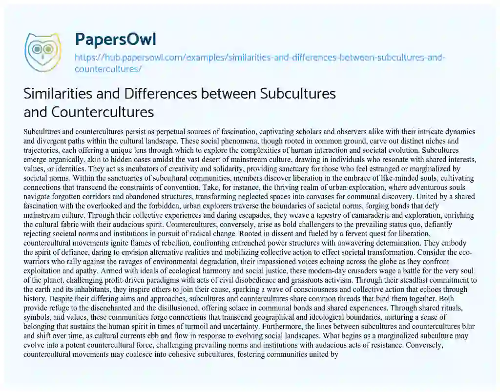 Essay on Similarities and Differences between Subcultures and Countercultures