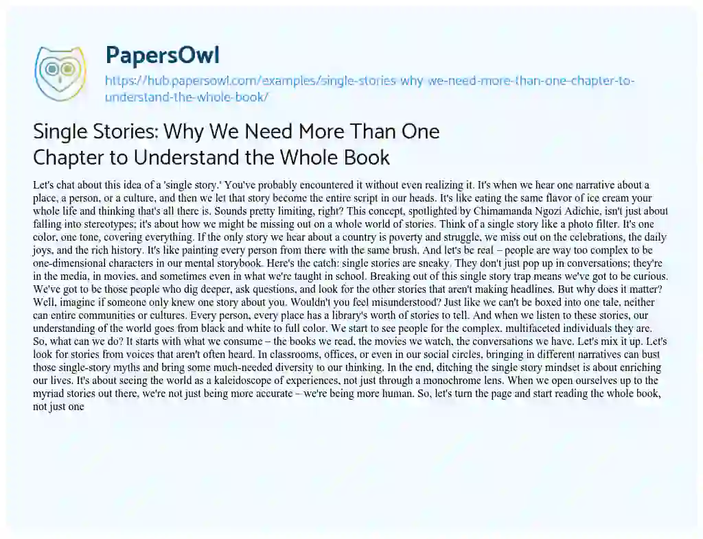 Essay on Single Stories: Why We Need More Than One Chapter to Understand the Whole Book
