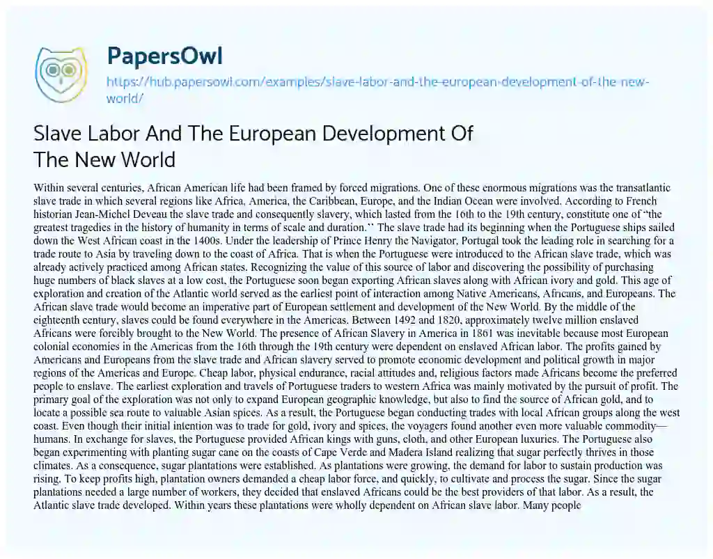 Essay on Slave Labor And The European Development Of The New World