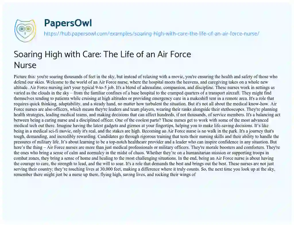 Essay on Soaring High with Care: The Life of an Air Force Nurse