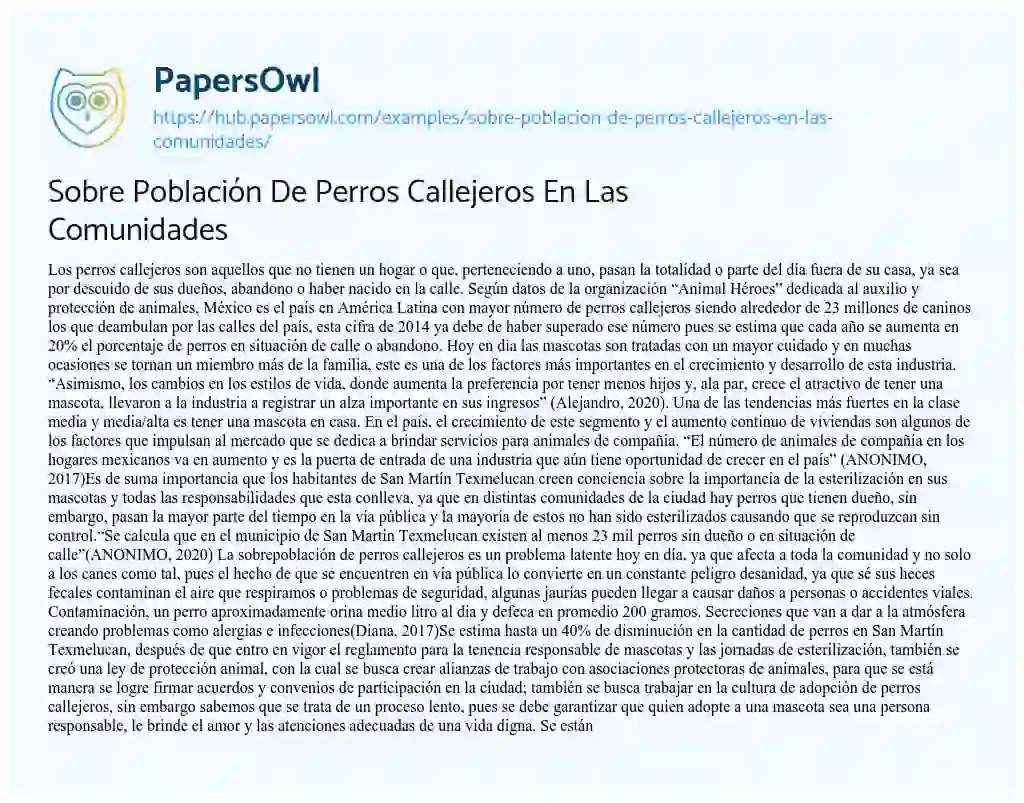 Essay on Sobre Población De Perros Callejeros En Las Comunidades