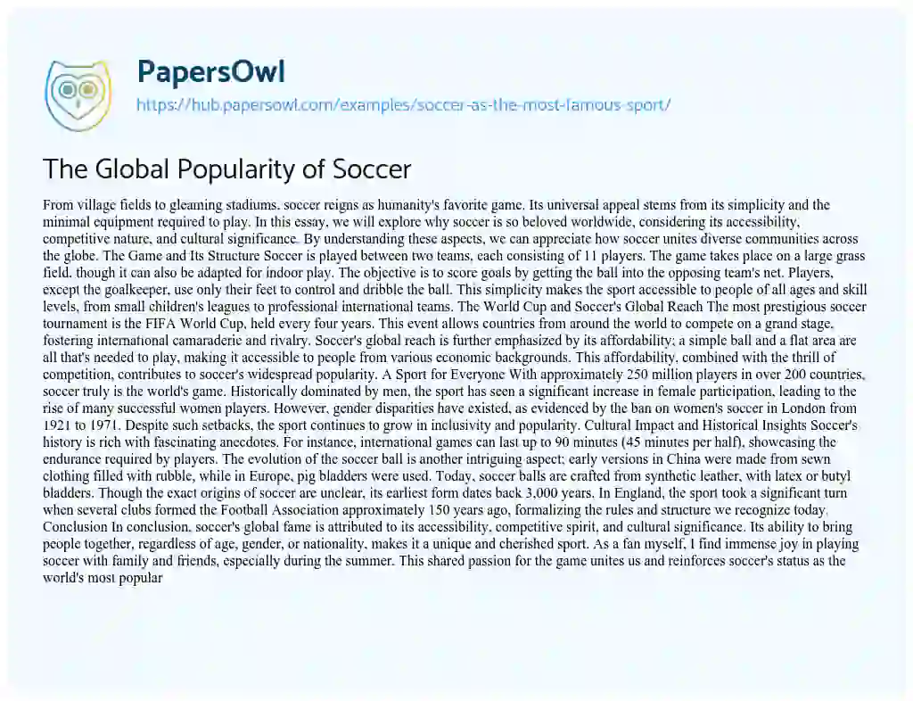 Essay on The Global Popularity of Soccer