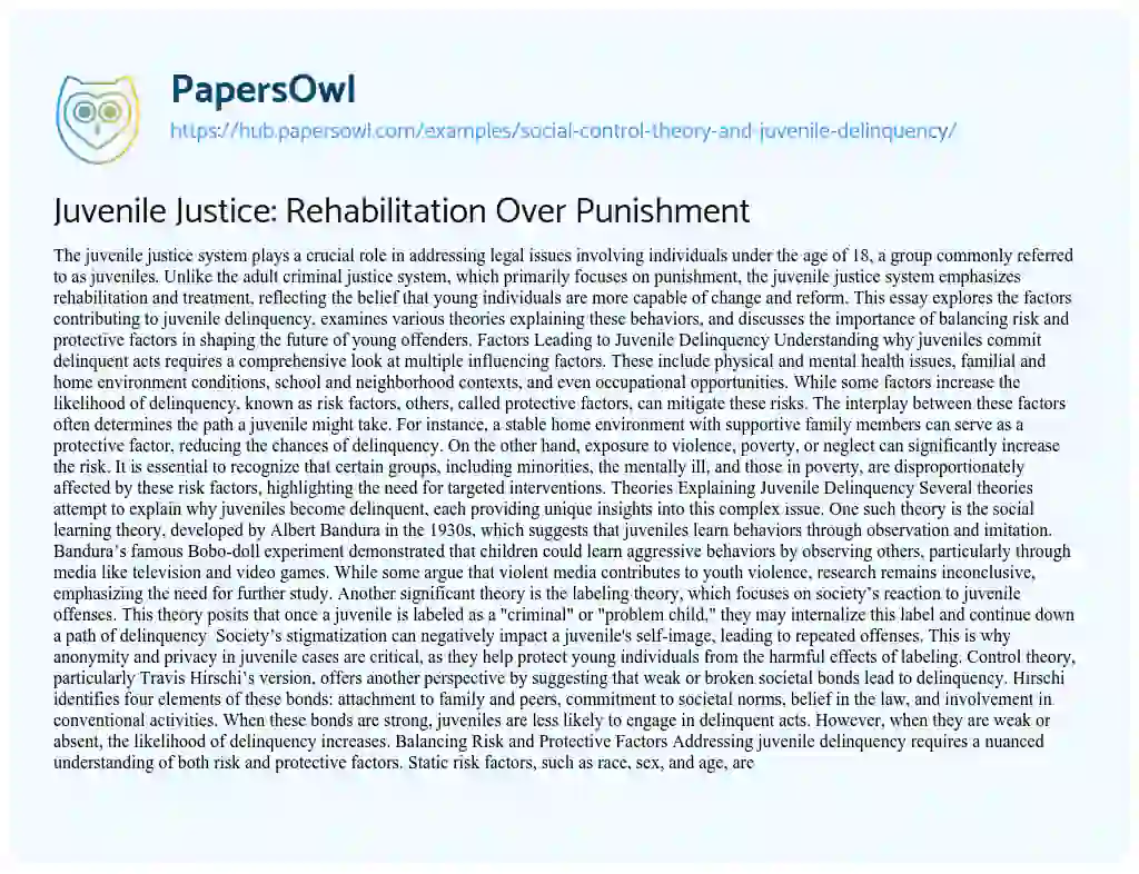 Essay on Juvenile Justice: Rehabilitation Over Punishment
