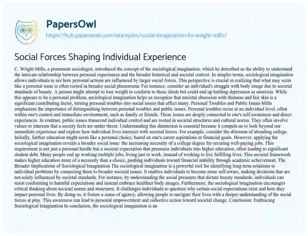 Essay on Social Forces Shaping Individual Experience