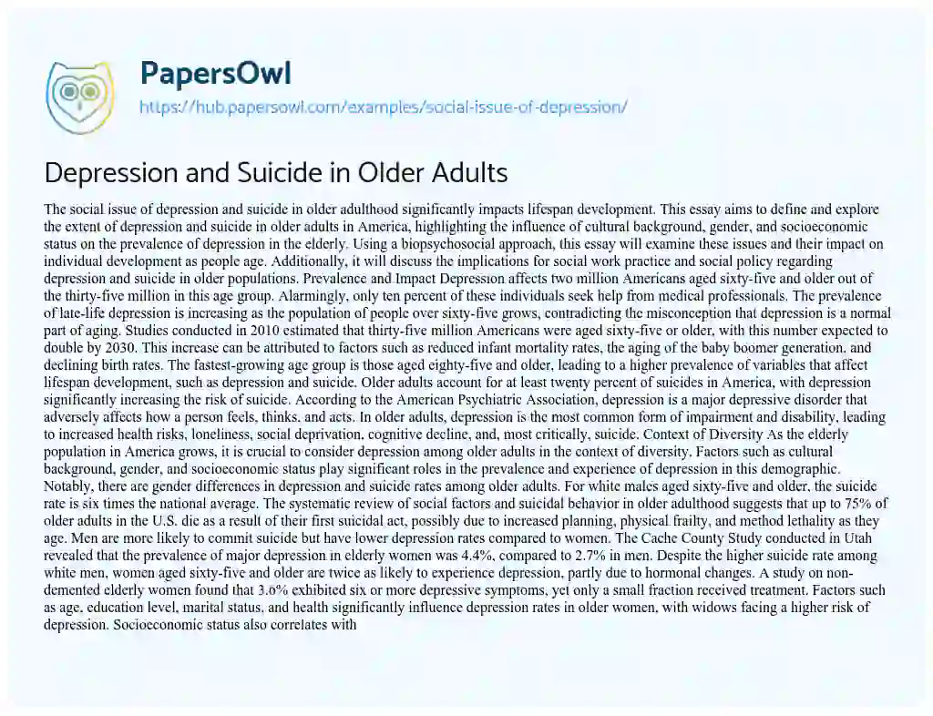 Essay on Depression and Suicide in Older Adults