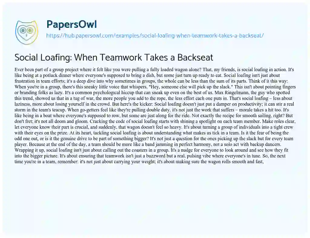 Essay on Social Loafing: When Teamwork Takes a Backseat