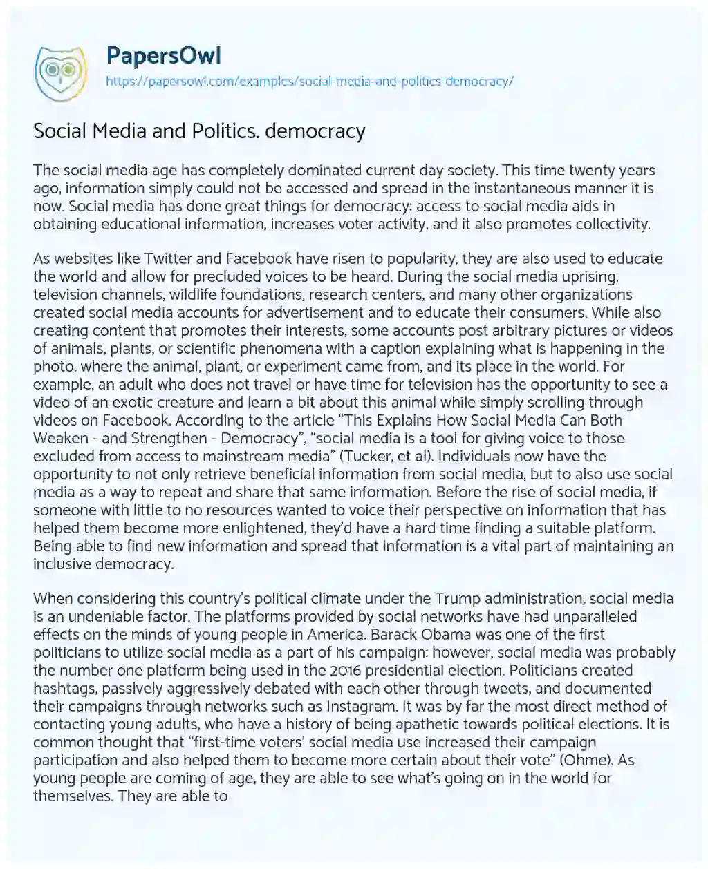 Essay on Social Media and Politics. democracy