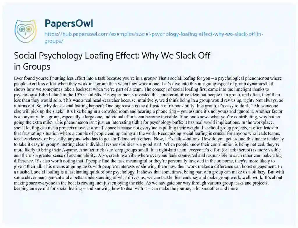 Essay on Social Psychology Loafing Effect: Why We Slack Off in Groups