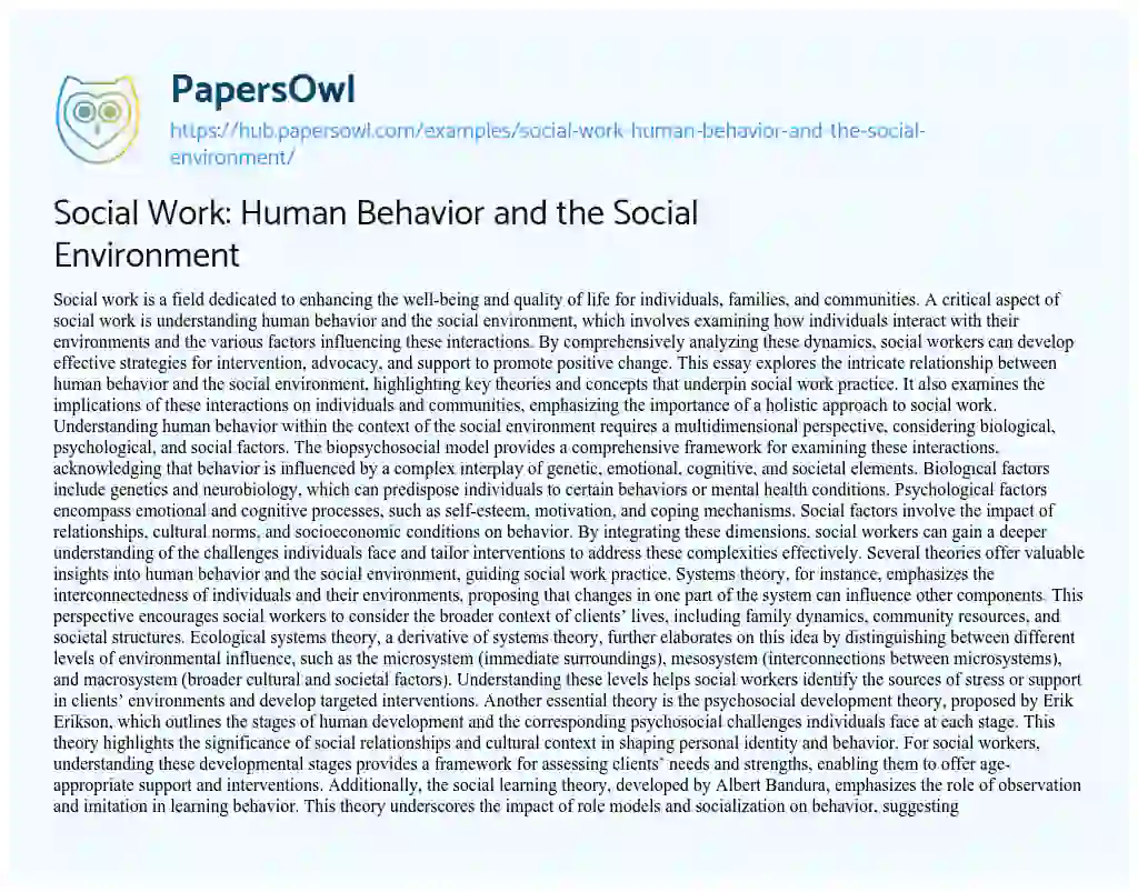 Essay on Social Work: Human Behavior and the Social Environment