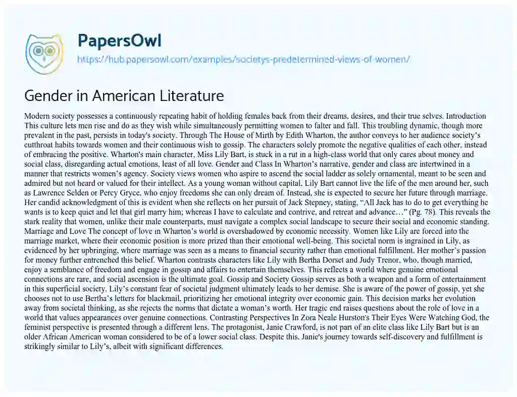 Essay on Gender in American Literature