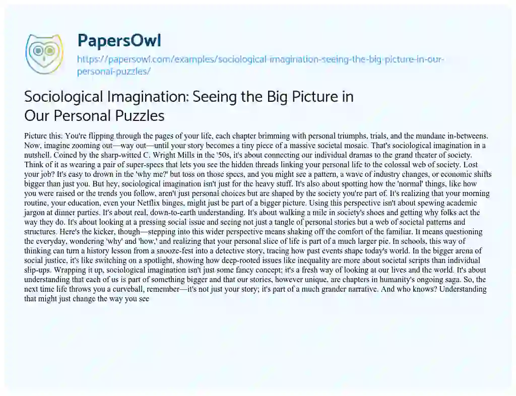 Essay on Sociological Imagination: Seeing the Big Picture in Our Personal Puzzles