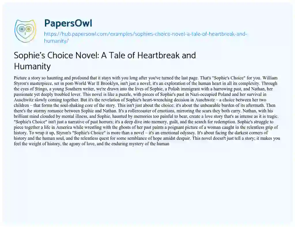Essay on Sophie’s Choice Novel: A Tale of Heartbreak and Humanity