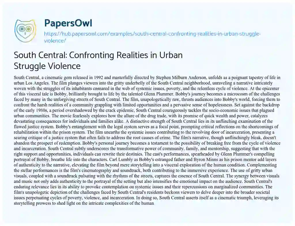 Essay on South Central: Confronting Realities in Urban Struggle Violence