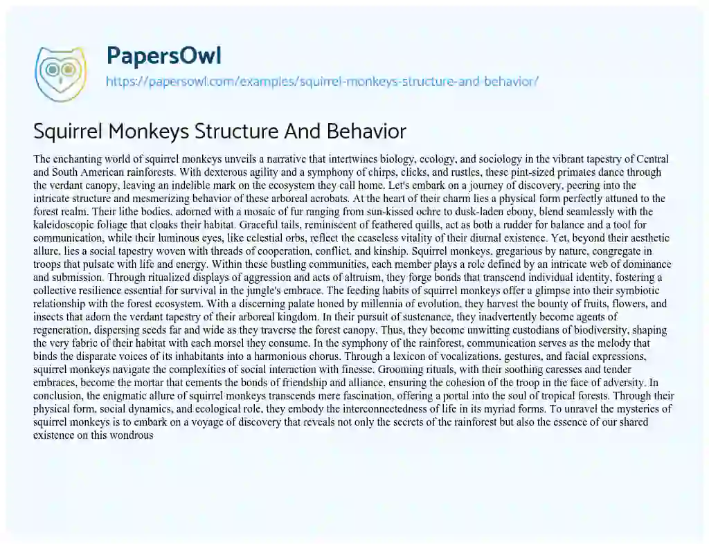 Essay on Squirrel Monkeys Structure And Behavior