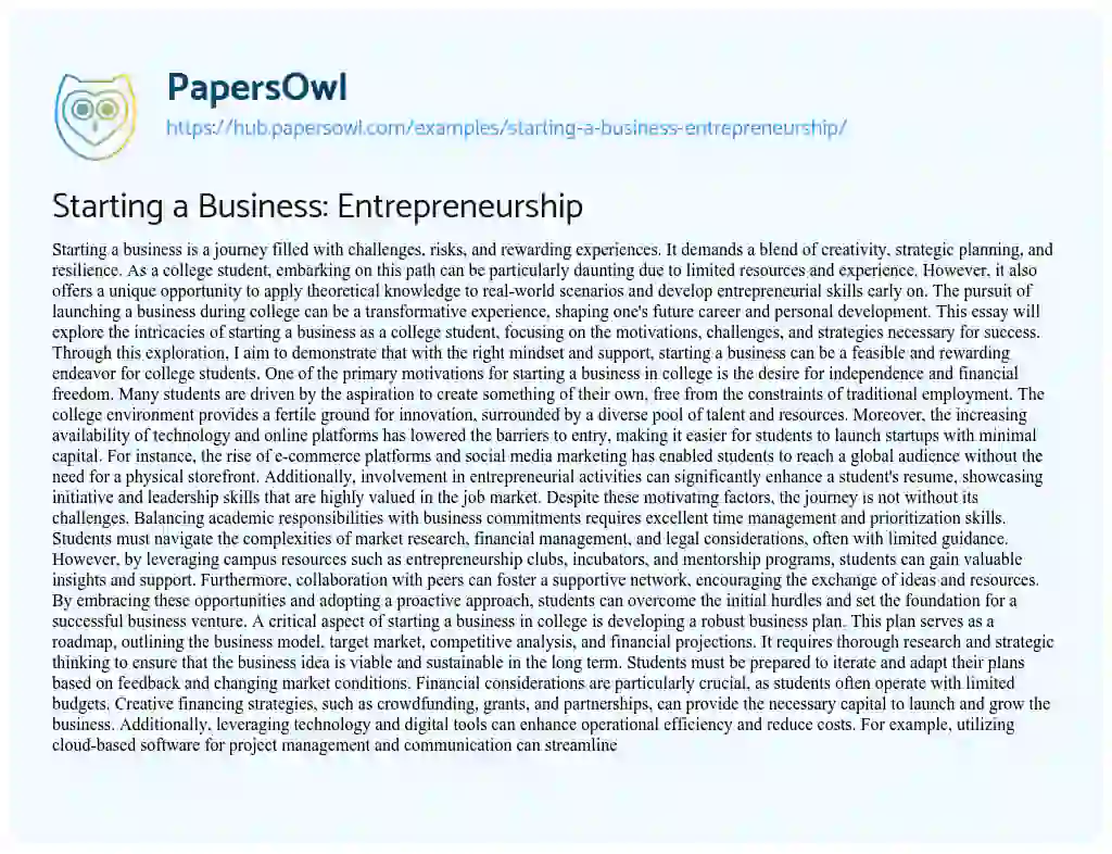 Essay on Starting a Business: Entrepreneurship