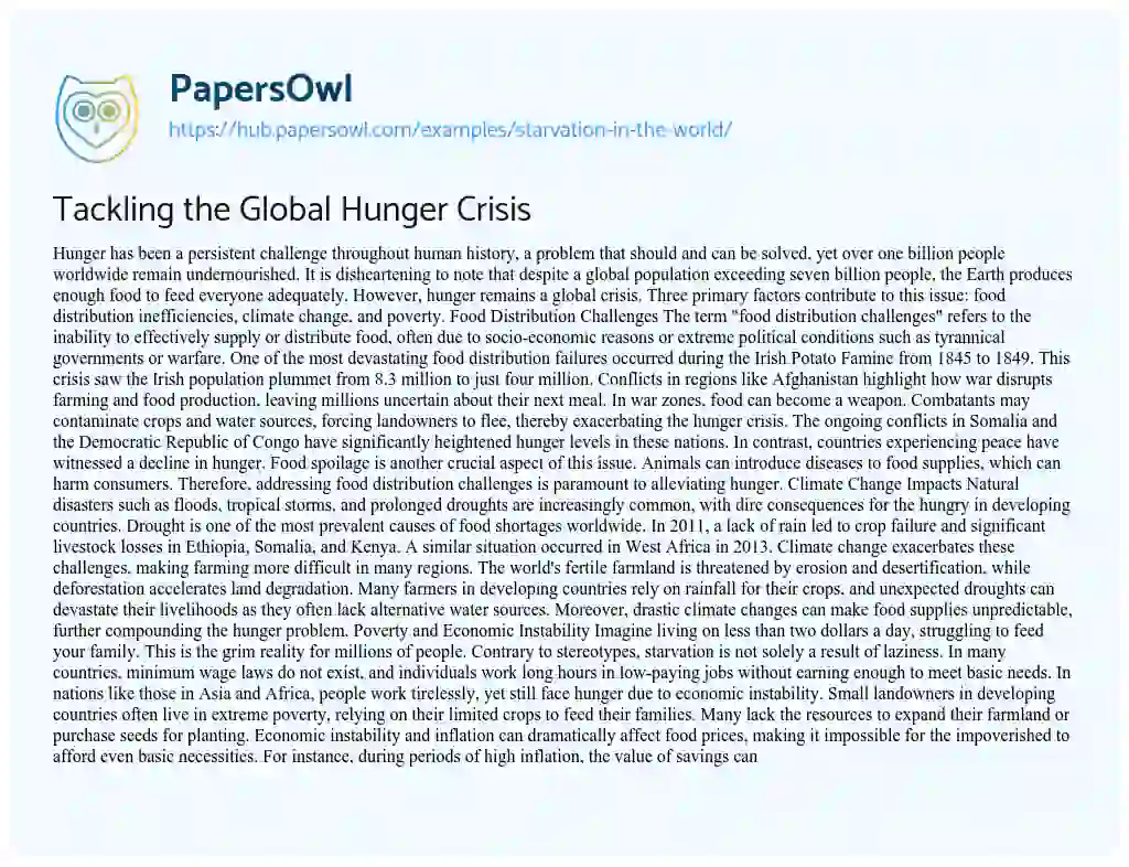 Essay on Tackling the Global Hunger Crisis