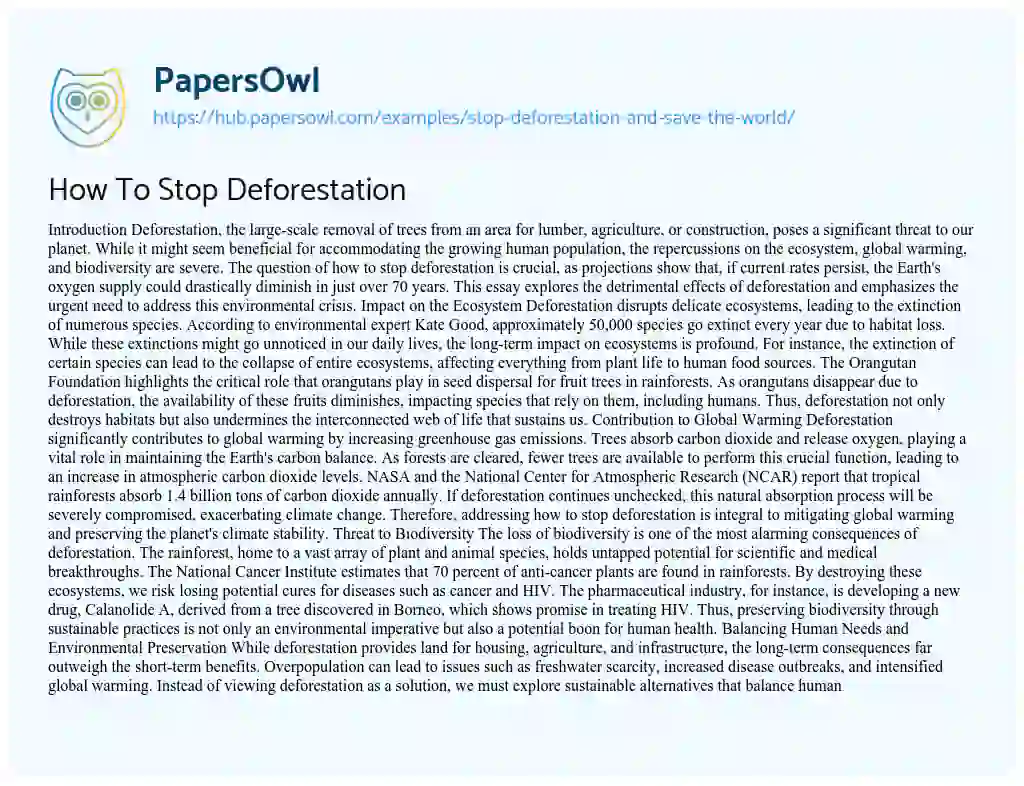 Essay on How To Stop Deforestation