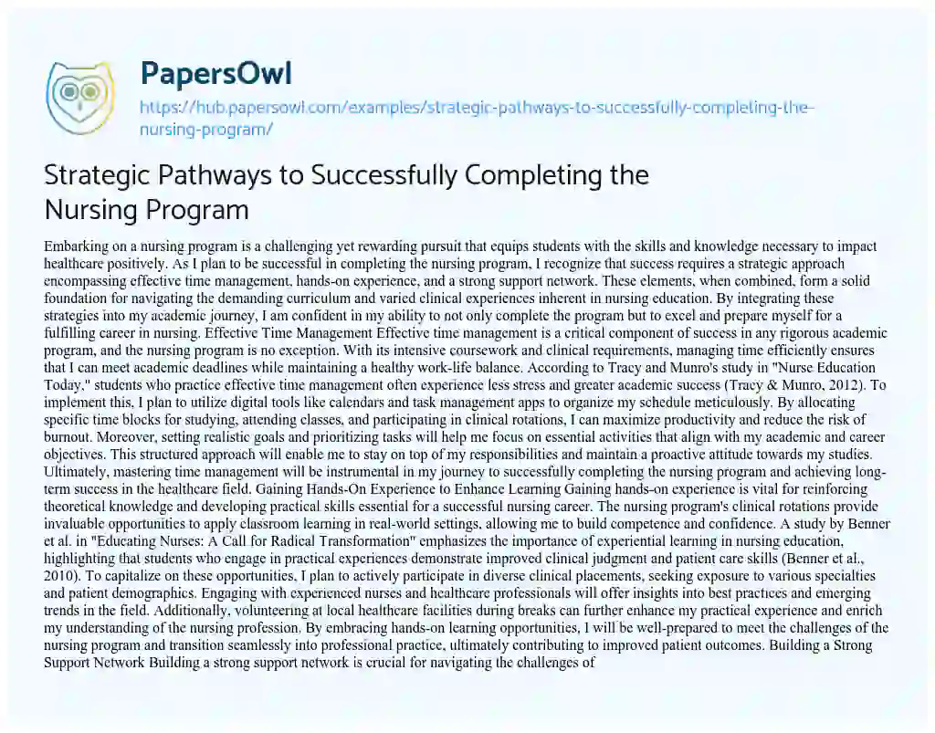 Essay on Strategic Pathways to Successfully Completing the Nursing Program