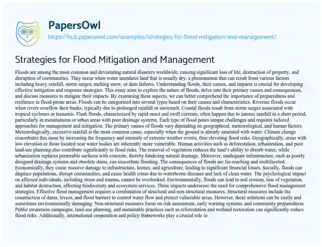 Essay on Strategies for Flood Mitigation and Management