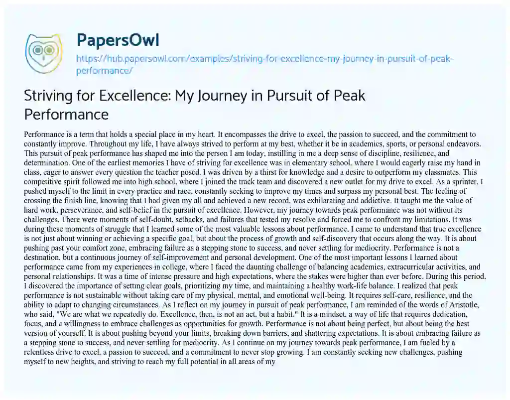 Essay on Striving for Excellence: My Journey in Pursuit of Peak Performance