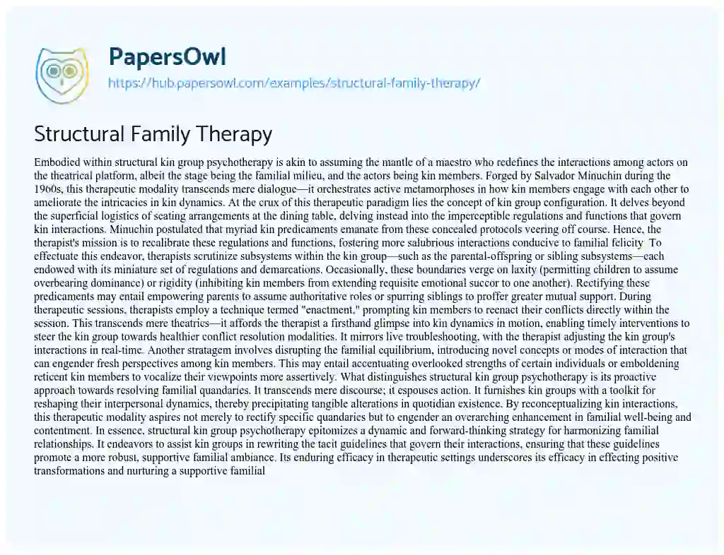 Essay on Structural Family Therapy