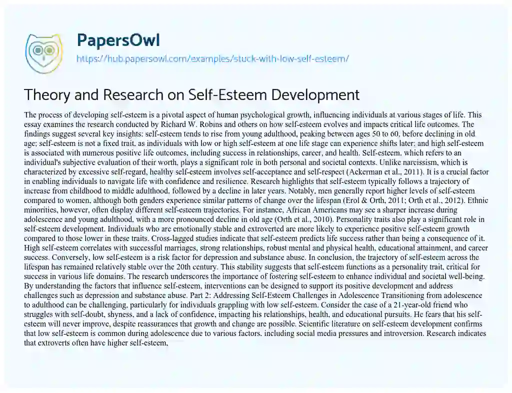 Essay on Theory and Research on Self-Esteem Development