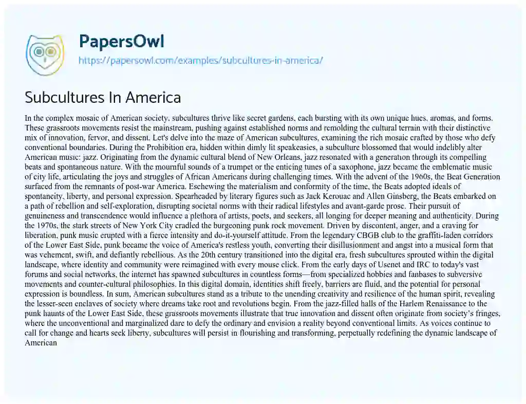 Essay on Subcultures In America