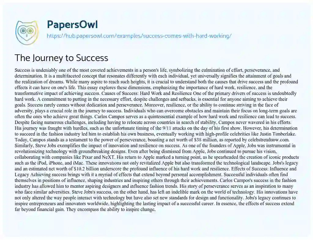 Essay on The Journey to Success