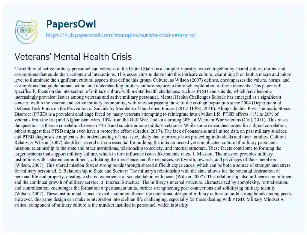 Essay on Veterans’ Mental Health Crisis