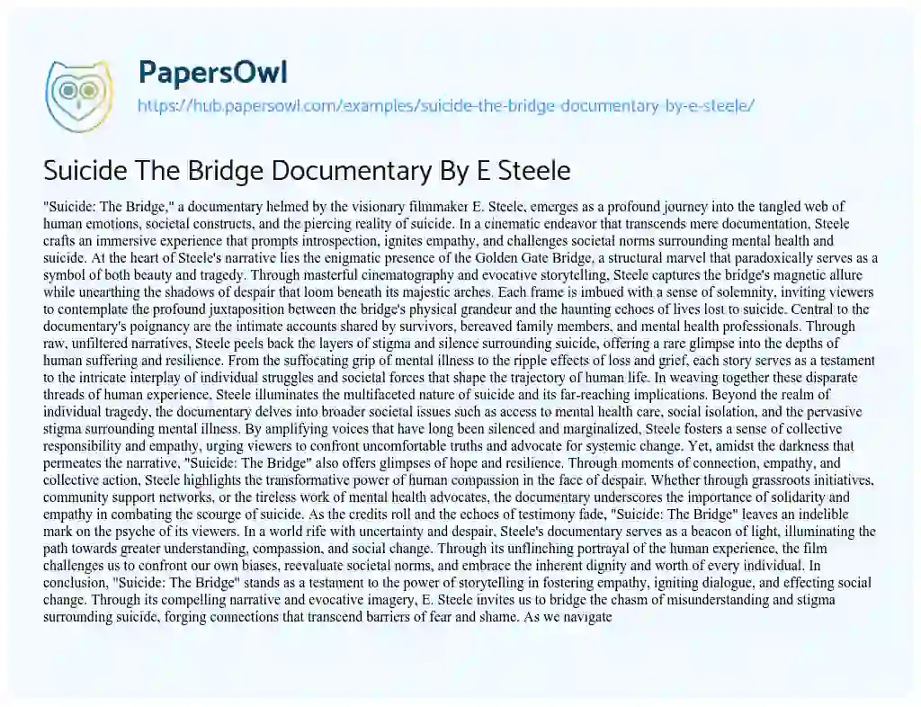 Essay on Suicide The Bridge Documentary By E Steele