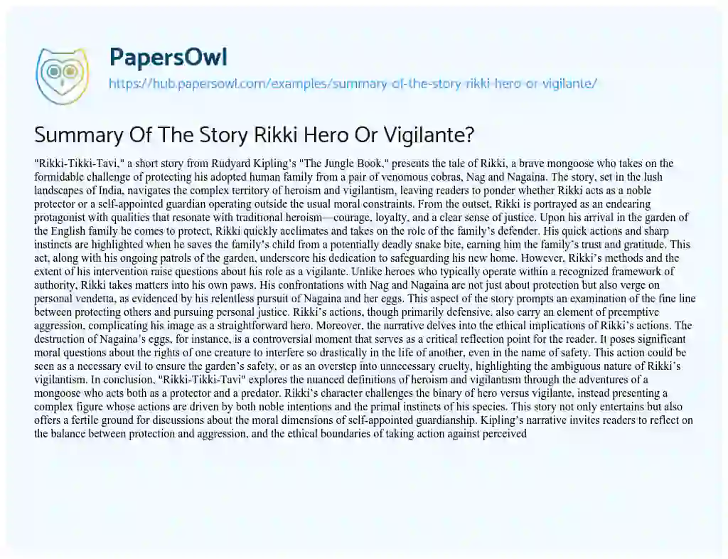 Essay on Summary Of The Story Rikki Hero Or Vigilante?