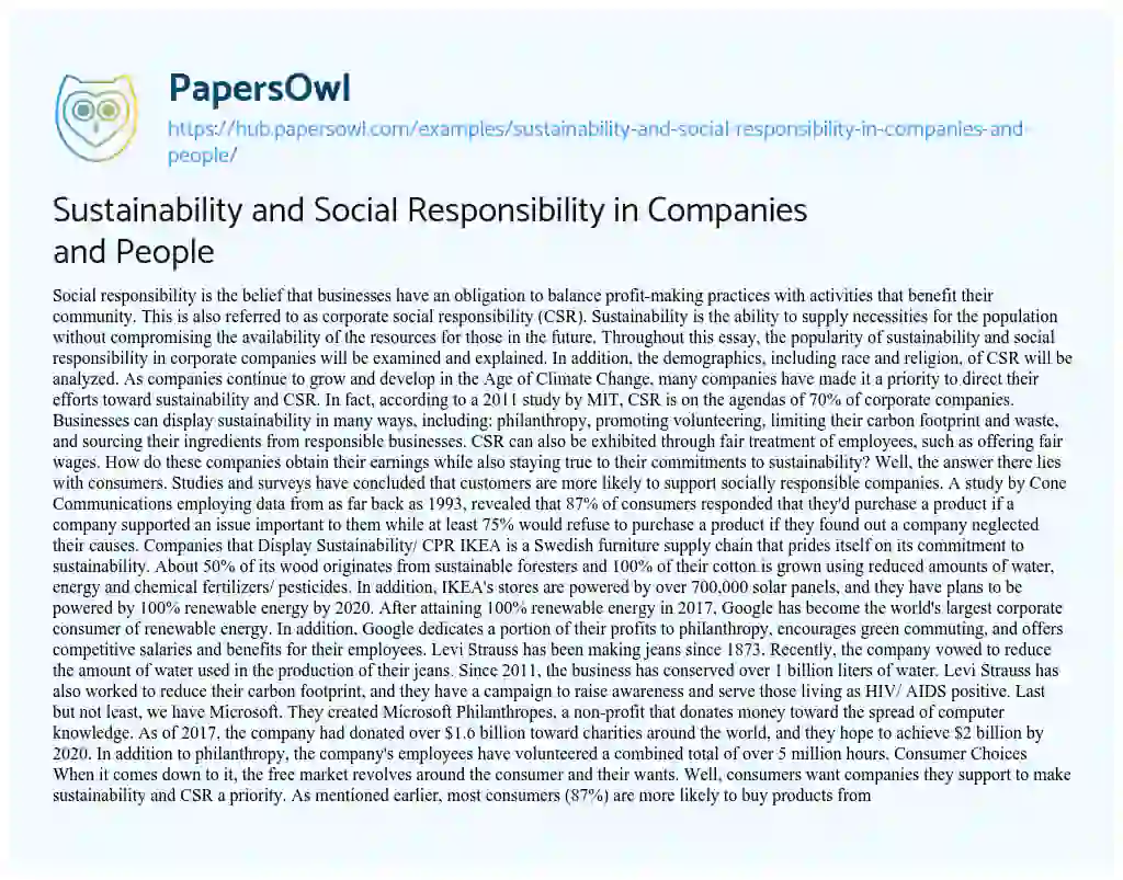 Essay on Sustainability and Social Responsibility in Companies and People