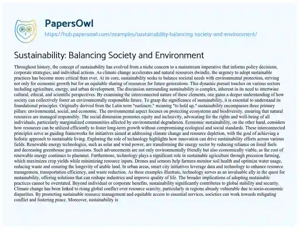 Essay on Sustainability: Balancing Society and Environment