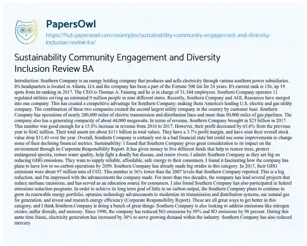 Essay on Sustainability Community Engagement and Diversity Inclusion Review BA