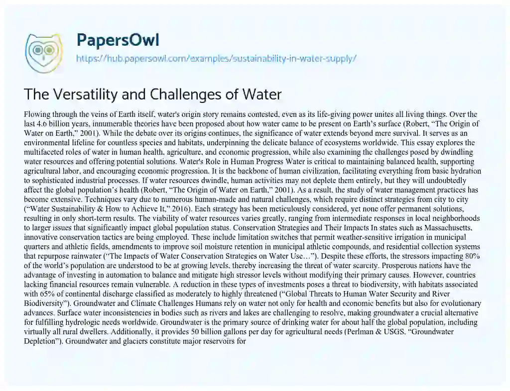 Essay on The Versatility and Challenges of Water