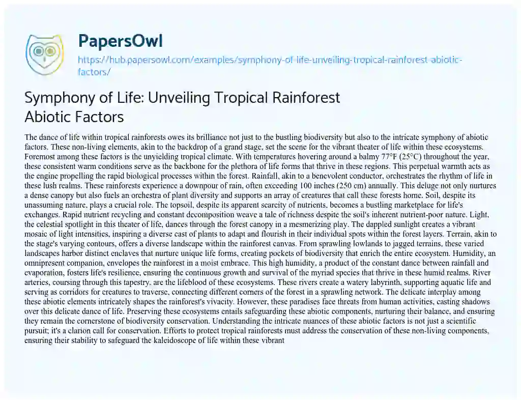 Essay on Symphony of Life: Unveiling Tropical Rainforest Abiotic Factors