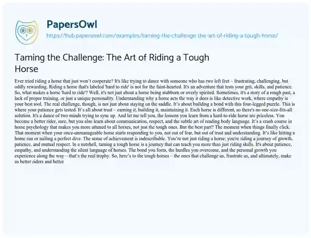 Essay on Taming the Challenge: The Art of Riding a Tough Horse