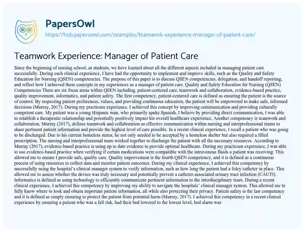 Essay on Teamwork Experience: Manager of Patient Care 