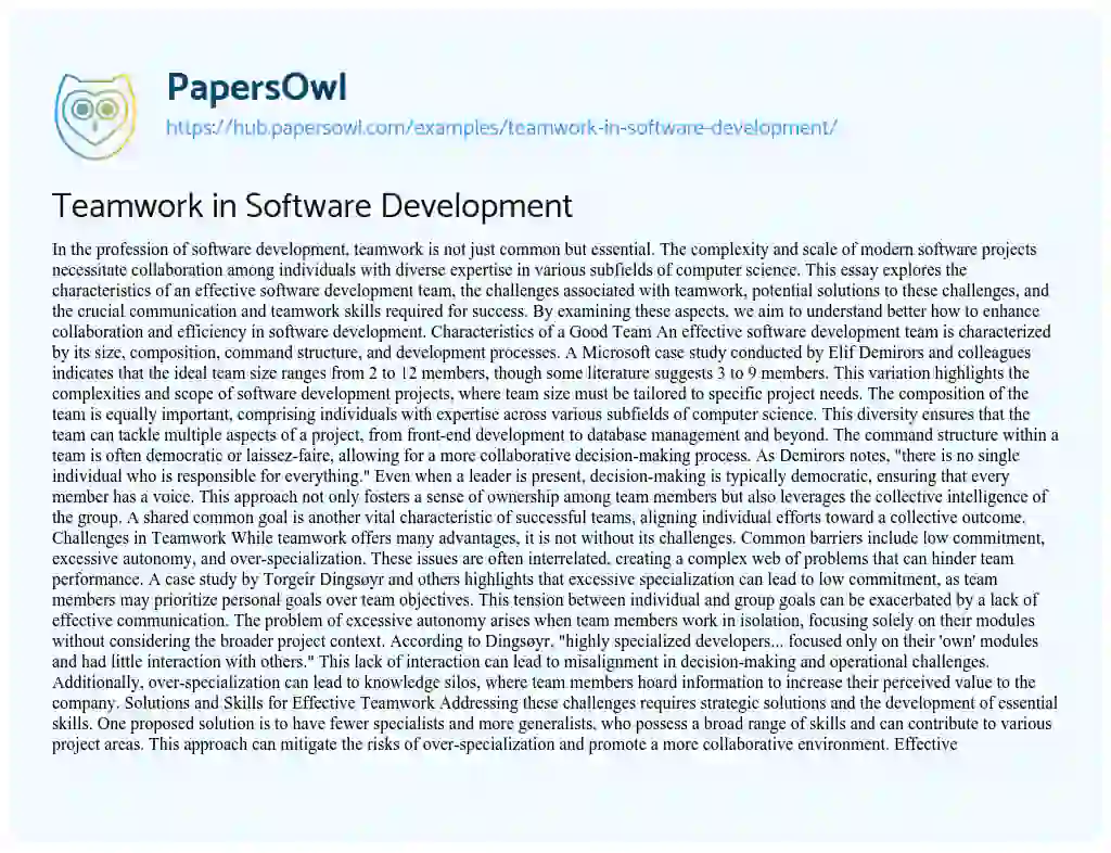 Essay on Teamwork in Software Development