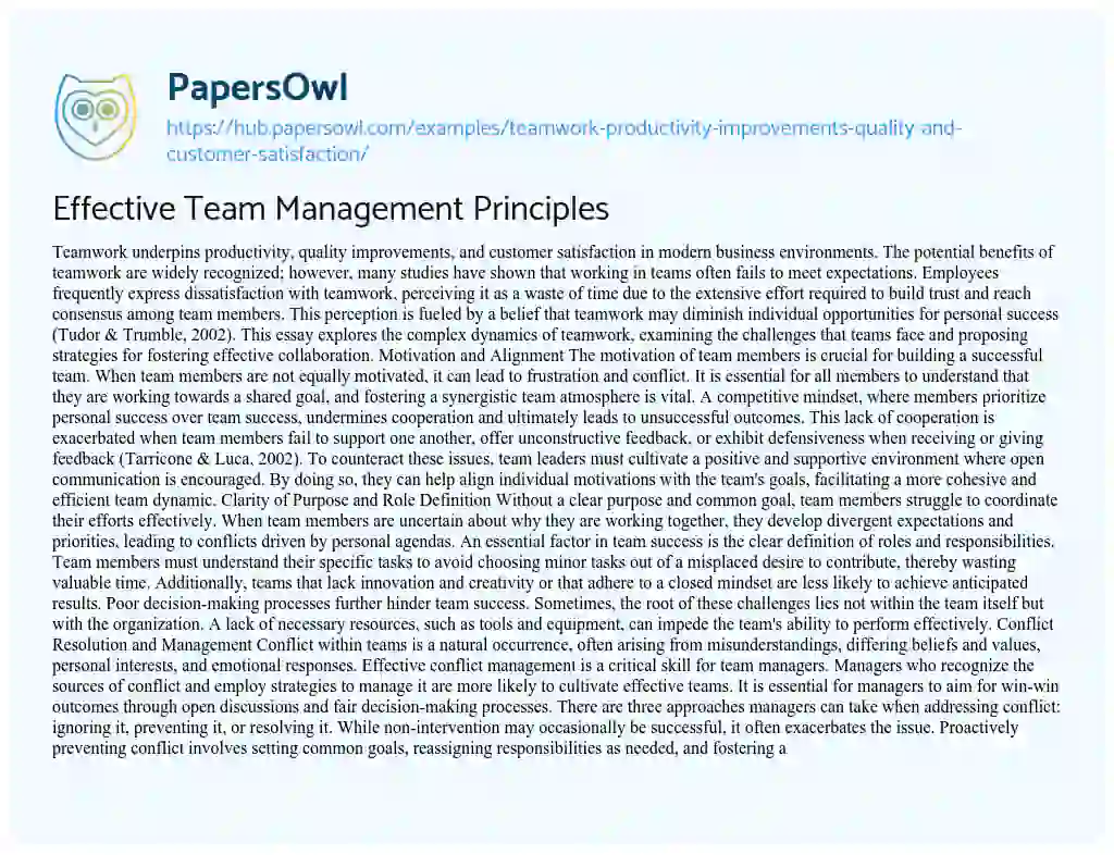Essay on Effective Team Management Principles