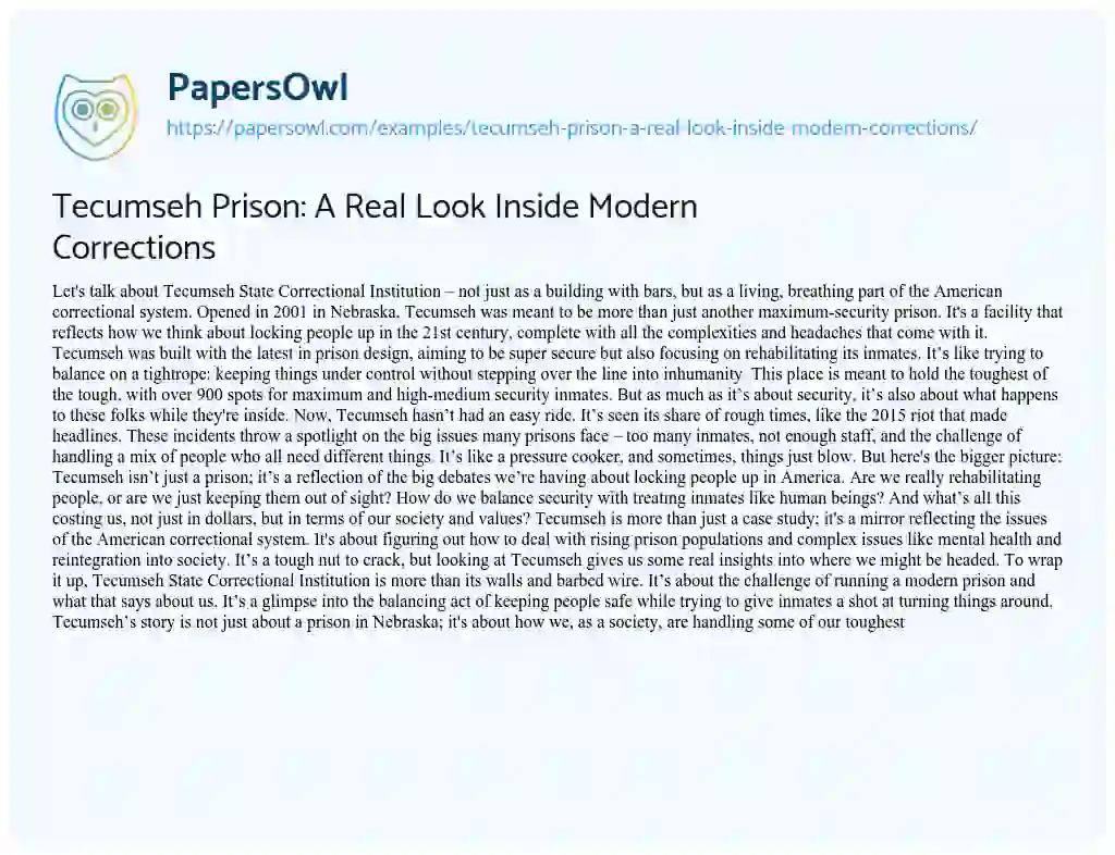 Essay on Tecumseh Prison: A Real Look Inside Modern Corrections